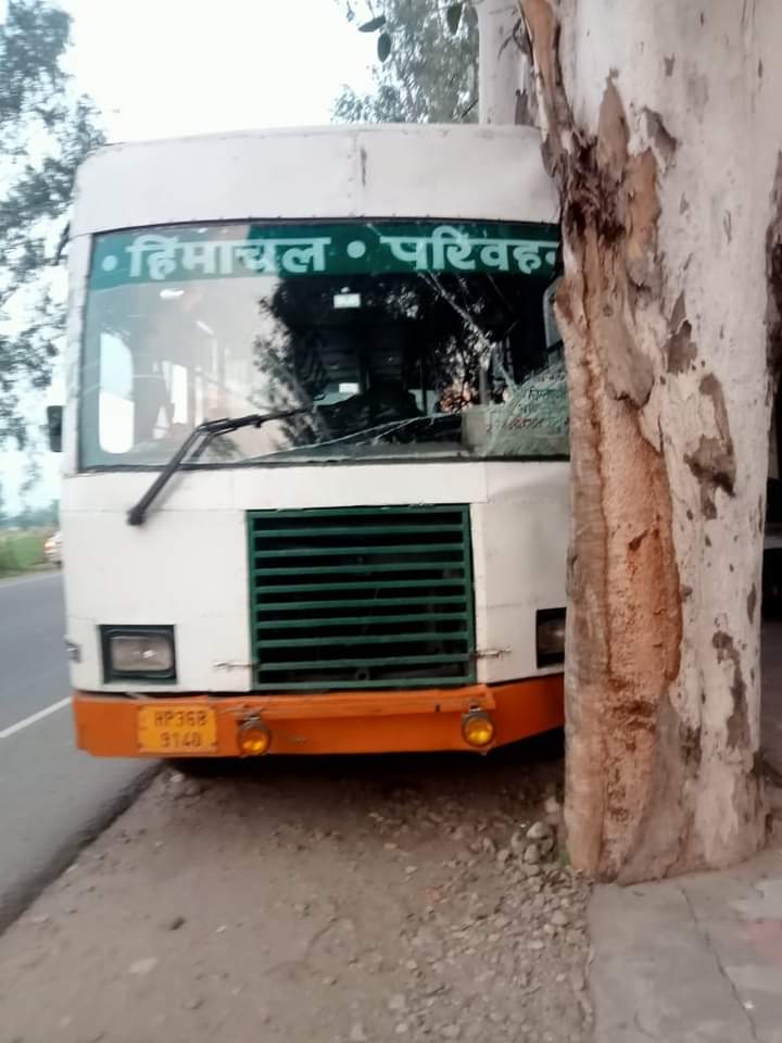 चुरुडु में सफेदे के पेड़ से टकराई एचआरटीसी