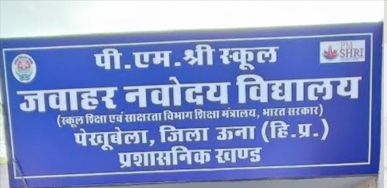 घनारी स्कूल में 120 विद्यार्थियों ने दी जवाहर नवोदय विद्यालय प्रवेश परीक्षा